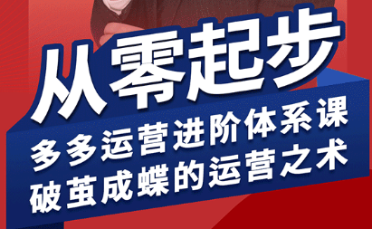 海神·拼多多运营进阶系统课(更新2026)-无畏轻创