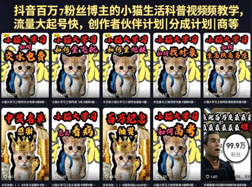 抖音百万粉丝博主的小猫生活科普视频教学，流量大起号快，创作者伙伴计划|分成计划|商单|收徒等-无畏轻创