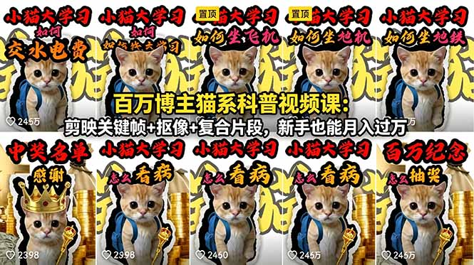 百万博主猫系科普视频课：剪映关键帧+抠像+复合片段，新手也能月入过万-无畏轻创