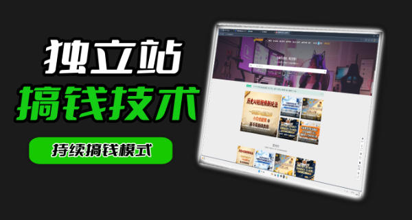 干货来袭！麦子甜带你吃透独立站｜从搭建到引流一站式教学《独立站》第一期-无畏轻创