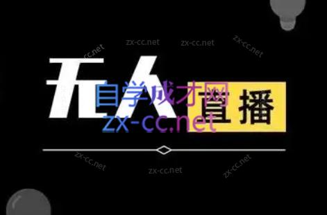 宝子哥·无人直播-非实时防风技术(更新5月)-无畏轻创