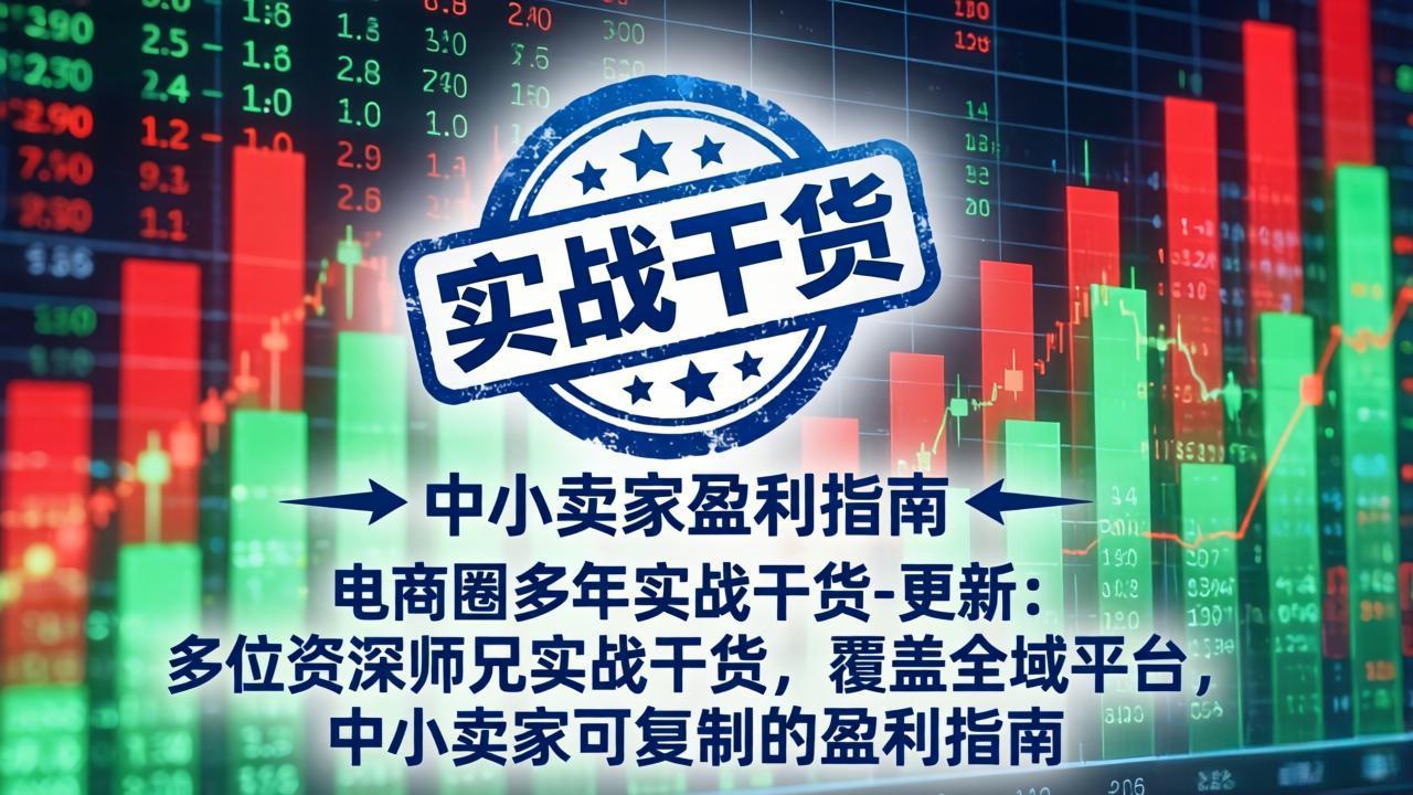 电商圈多年实战干货-更新5月20：多位资深师兄实战干货/覆盖全域平台，中小卖家可复制的盈利指南-无畏轻创