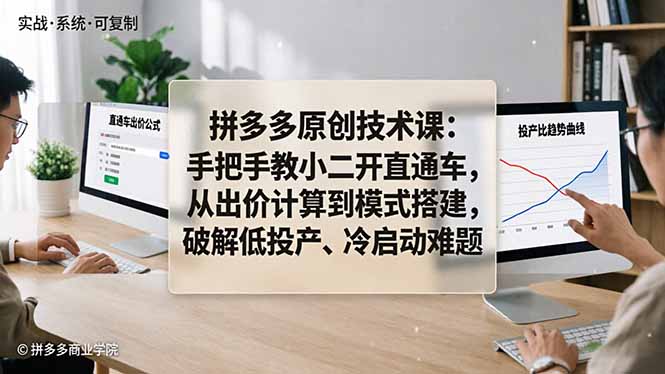 拼多多原创技术课：手把手教小二开直通车，从出价计算到模式搭建，破解低投产、冷启动难题-无畏轻创