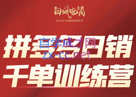 白凤电商·拼多多日销千单训练营(更新4月)-无畏轻创