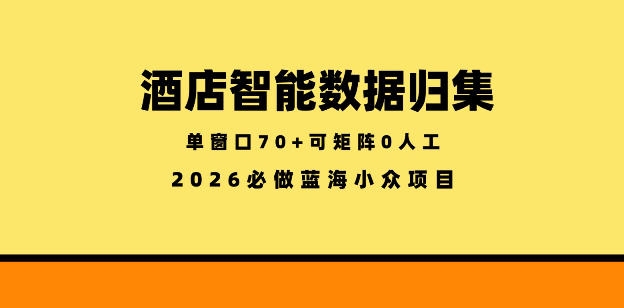 酒店智能数据归集，小众蓝海已经稳定半年之久，单窗口70+零成本矩阵开干【揭秘】-无畏轻创