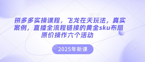 拼多多实操课程，飞龙在天玩法，真实案例，直播全流程链接的黄金sku布局原价操作六个活动-无畏轻创