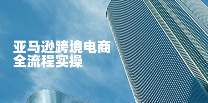 （14252期）亚马逊跨境电商全流程实操，教你从零开始，掌握店铺运营与广告技巧-无畏轻创