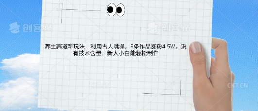 AI养生赛道新玩法，10条作品涨粉5.2W，操作简单，新人小白能轻松制作-无畏轻创