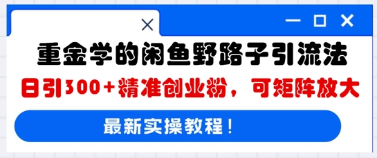 重金学的闲鱼野路子引流法，日引300+精准创业粉，可矩阵放大-无畏轻创