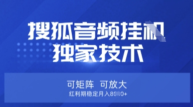 【搜狐音频挂G】独家技术，可矩阵可放大，红利期稳定月入8k【揭秘】-无畏轻创