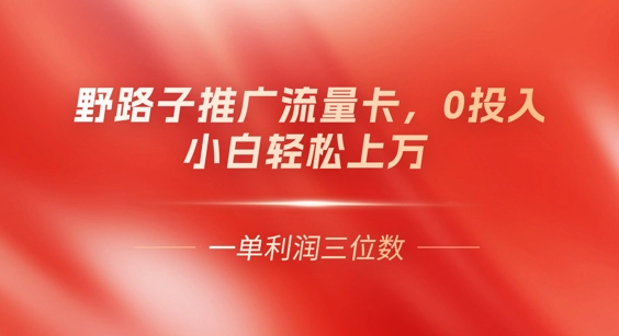 0门槛推广流量卡，一单收益上百，0投入，小白月入过W-无畏轻创