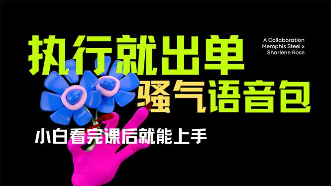 （14170期）爆火全网的开车导航骚气语音包,只要执行就出单，小白看完课程就能实操...-无畏轻创