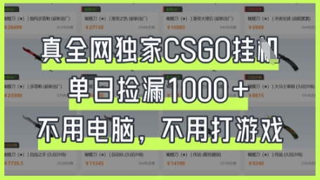 真全网独家CSGO挂G，单日捡漏1k+【揭秘】-无畏轻创