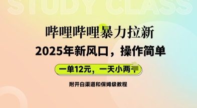 哔哩哔哩暴力拉新：2025年新风口，一单12元，一天数张(附开白渠道和保姆级教程)-无畏轻创