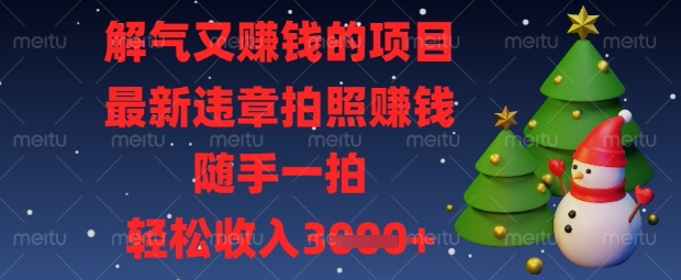 解气又挣钱的项目，最新违章拍照挣钱，随手一拍，轻松收入数张【揭秘】-无畏轻创